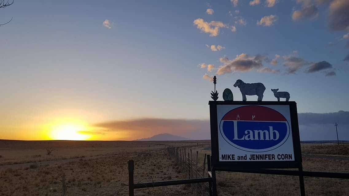 About Roswell Wool Roswell Wool